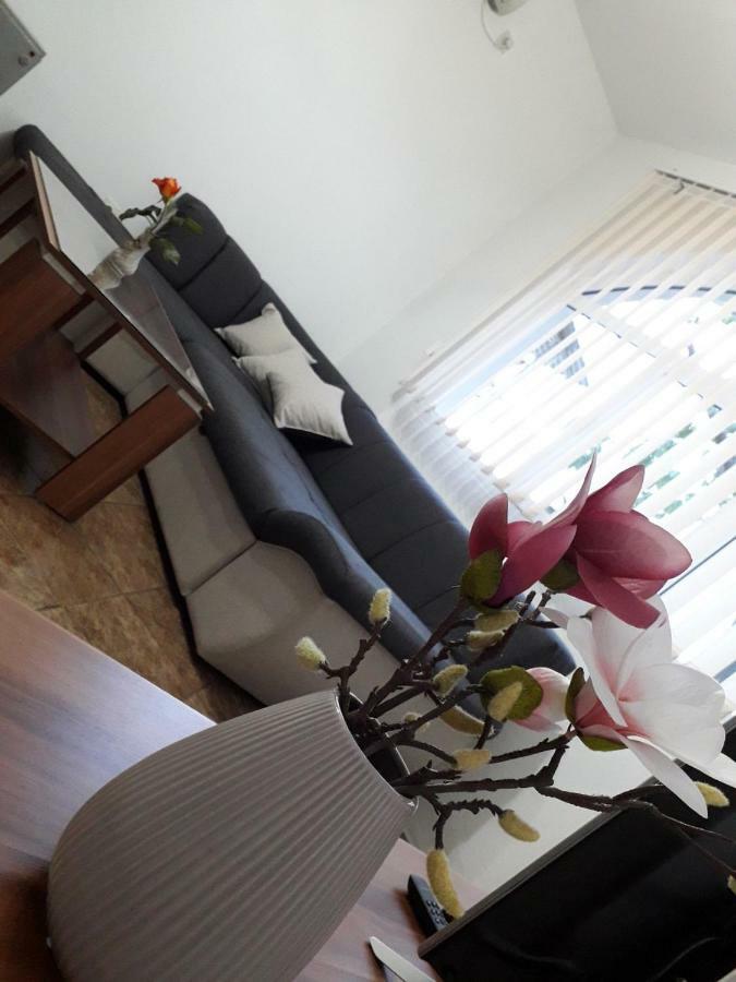 Apartman Samardzic 트레빈예 외부 사진